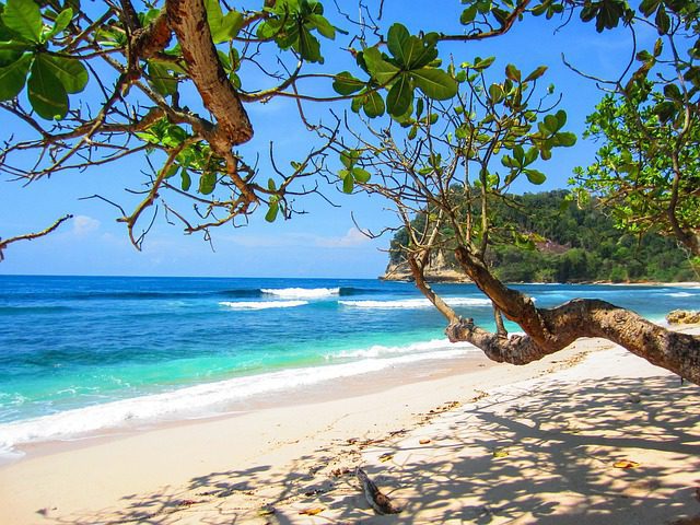 10-Useful-things-to-bring-to-an-uninhabitated-island things to bring to a deserted island. image of a tropical beach