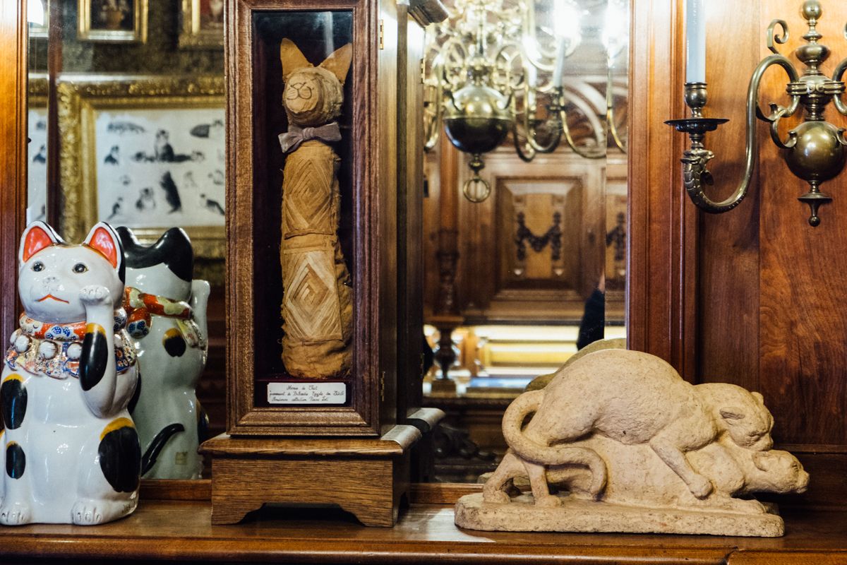 Cat-Cabinet-Museum-in-Amsterdam-KattenKabinet-Most-Unusual-Museums-in-the-World