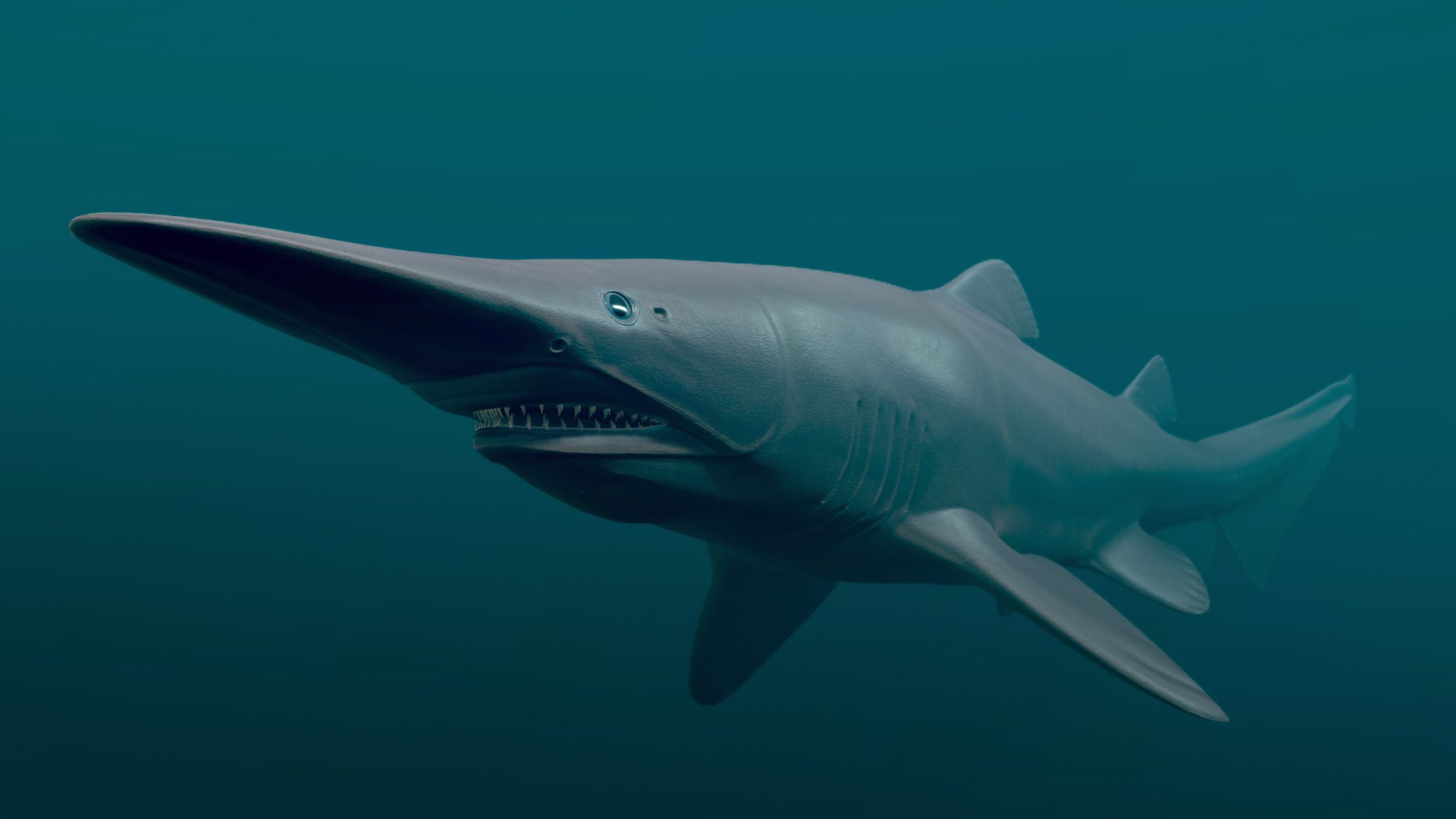 Goblin-Shark-Top-10-Most-Unusual-Animals-on-the-planet