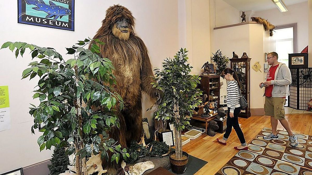 International-cryptozoology-museum-most-unusual-museums-in-the-world Unusual Museums